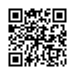 P4KE51CA-E3-54 QRCode