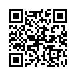 P4KE56-E3-54 QRCode