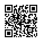 P522306 QRCode