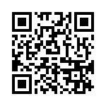 P6KE100A-G QRCode