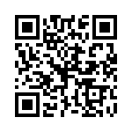 P6KE100CAHB0G QRCode