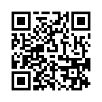 P6KE12A_111 QRCode