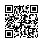 P6KE13A_111 QRCode