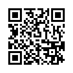 P6KE13A_188 QRCode