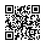 P6KE13C-E3-73 QRCode