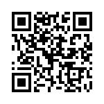 P6KE200A-B QRCode