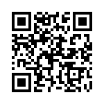 P6KE220C-B QRCode