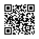 P6KE24-E3-73 QRCode