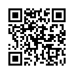 P6KE300A-B QRCode