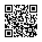 P6KE300A-G QRCode