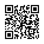 P6KE33C-B QRCode