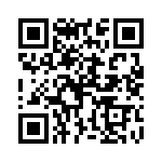 P6KE380A-G QRCode