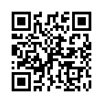 P6KE39A-B QRCode