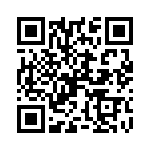 P95020ZCNQG QRCode