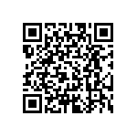 PE0100BJ20136BH1 QRCode