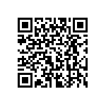 PE0140BJ20133BG1 QRCode