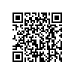 PE0140WJ30136BG1 QRCode