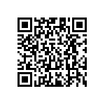 PE1206DRM070R025L QRCode