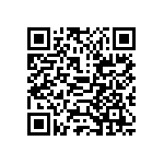 PE2010DKM070R033L QRCode