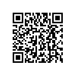 PP21-2-8-00A-31380-1-V QRCode