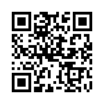 PPT0300DXX2VB QRCode