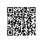 PT01E-14-19S-313 QRCode