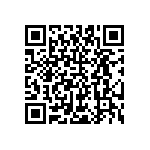 PT06E-10-98P-304 QRCode