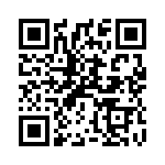 PT4833N QRCode