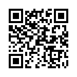 PT8A95A04EQE QRCode