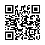 PV2S64011 QRCode