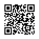 PX0707-P-12 QRCode