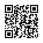 Q48T30033-NAAC QRCode