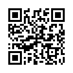 R13112IBB QRCode