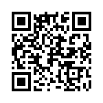 R29-20128-1-V QRCode