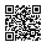 R46KN333045N0K QRCode