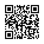 R71PI36804030M QRCode