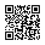 R71QR41004010K QRCode