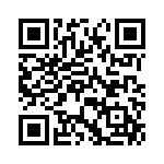 R71VN41004030K QRCode