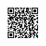 RAA230123GSB-HA0 QRCode