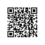 RAA230401GFT-AA0 QRCode