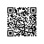 RAA230404GFT-BA0 QRCode