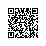 RAA230406GFT-BA0 QRCode