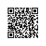 RAA230409GFT-YK0 QRCode