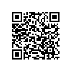 RC0805JR-073K3L QRCode