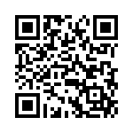 RCC13DRYN-S93 QRCode