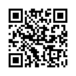 RCC17DRTI-S13 QRCode