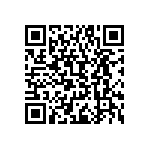 RCE5C2A1R0C0A2H03B QRCode