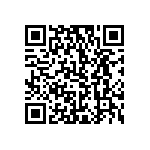 RCL06121R30JNEA QRCode