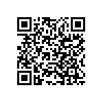 RCP1206B300RJS2 QRCode