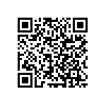 RCS0603300RJNEA QRCode